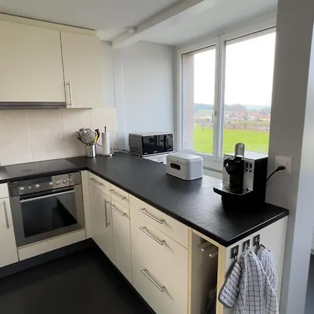 Entire House 20 Min From Interlaken Apartment *