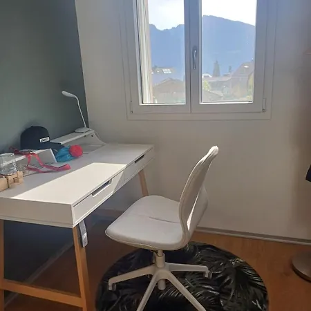 Entire House 20 Min From Interlaken Apartment