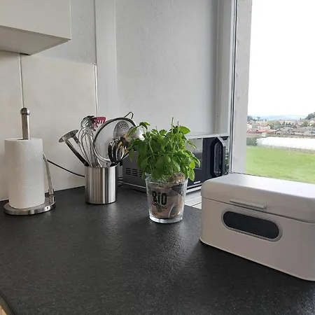 Entire House 20 Min From Interlaken Apartment Spiez