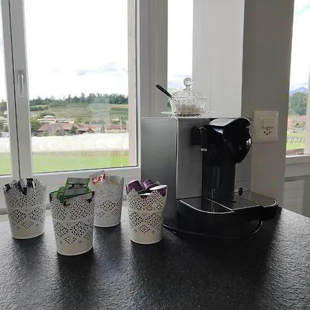 Entire House 20 Min From Interlaken * Spiez