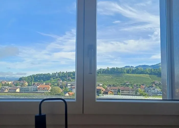 Appartement Entire House 20 Min From Interlaken Spiez