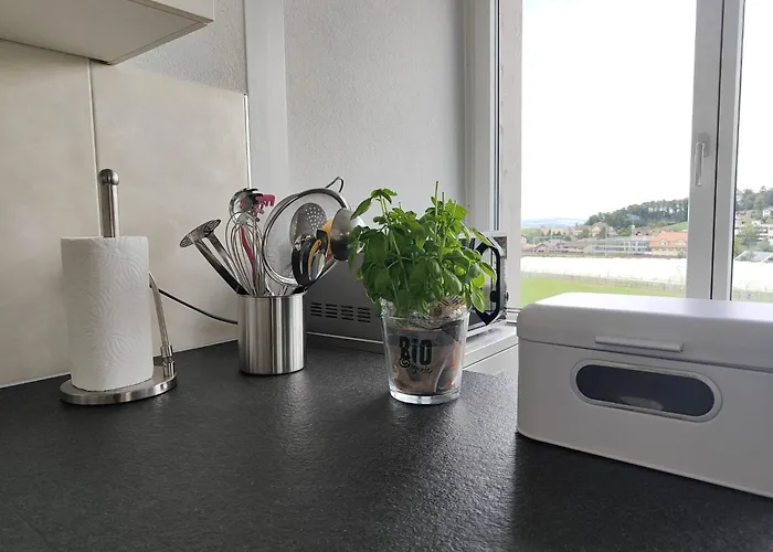 Entire House 20 Min From Interlaken Appartement Spiez