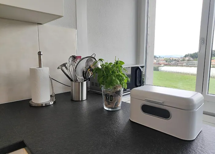 Entire House 20 Min From Interlaken Appartement Spiez