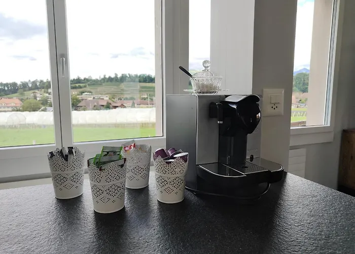 Entire House 20 Min From Interlaken * Spiez