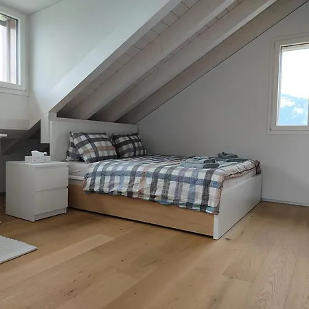 Entire House 20 Min From Interlaken *